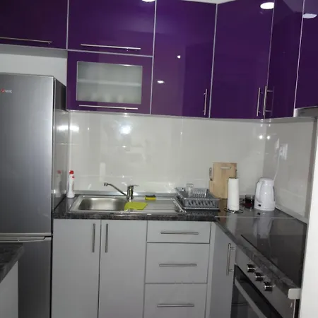 公寓 Apartman Apolon 2 巴尼西卢卡